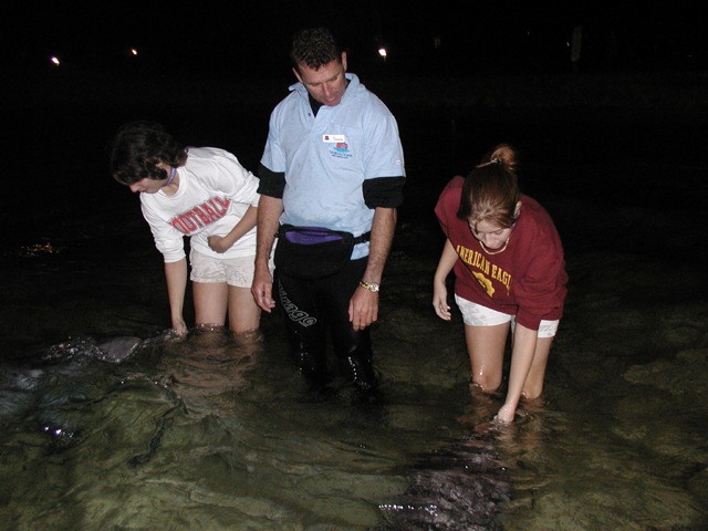 Allison and Erin feed dolphins