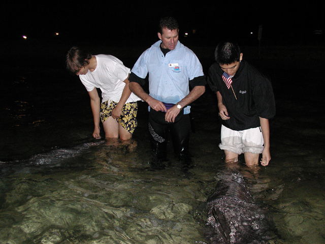 Dan and Jeff feed dolphins